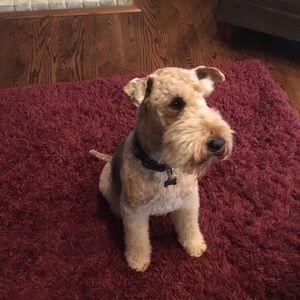 Meet your Posher, Brett